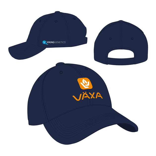 Växa Keps Viking/Växa