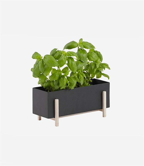Design House Stockholm, Botanic Box, Svart/Ask
